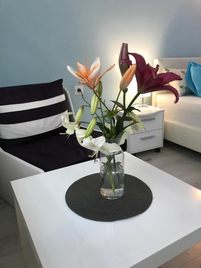 White Rose Guest Rooms Burgas Exterior photo